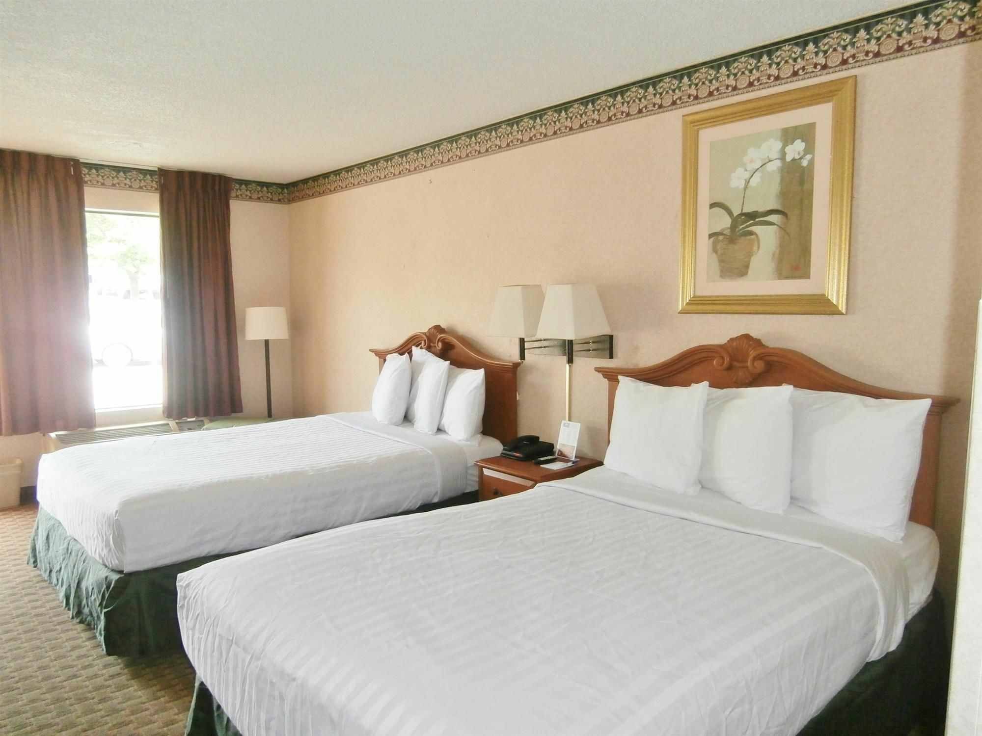 My & Hotel